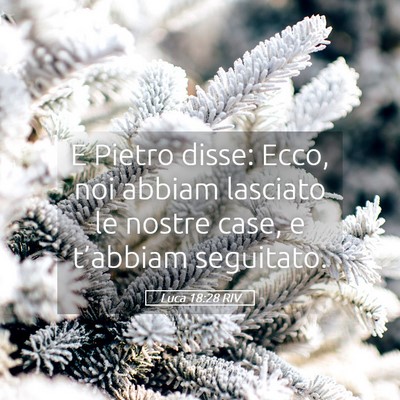 Picture 05 - Luca 18:28 RIV - E Pietro disse: Ecco, noi abbiam lasciato le - Bible Verse Picture