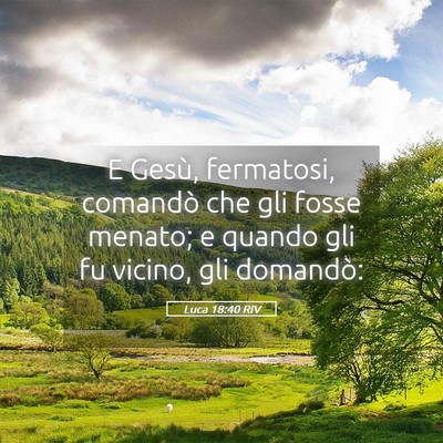 Picture 05 - Luca 18:40 RIV - E Gesù, fermatosi, comandò che gli fosse - Bible Verse Picture