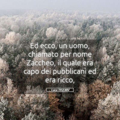 Picture 05 - Luca 19:2 RIV - Ed ecco, un uomo, chiamato per nome Zaccheo, il - Bible Verse Picture