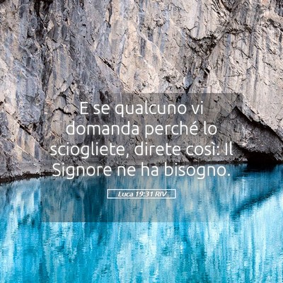 Picture 05 - Luca 19:31 RIV - E se qualcuno vi domanda perché lo sciogliete, - Bible Verse Picture