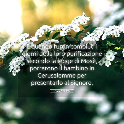 Picture 05 - Luca 2:22 RIV - E quando furon compiuti i giorni della loro - Bible Verse Picture