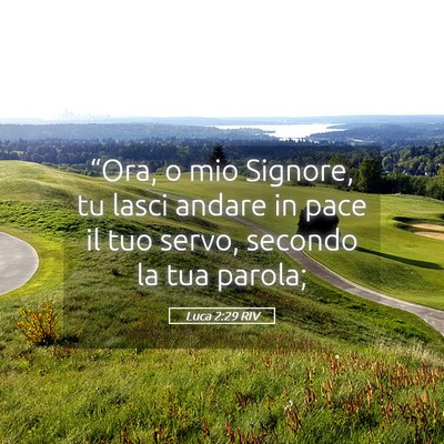Picture 05 - Luca 2:29 RIV - “Ora, o mio Signore, tu lasci andare in pace il - Bible Verse Picture