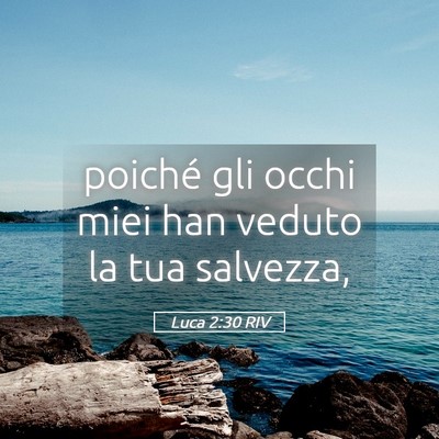Picture 05 - Luca 2:30 RIV - poiché gli occhi miei han veduto la tua - Bible Verse Picture