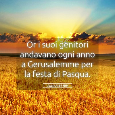 Picture 05 - Luca 2:41 RIV - Or i suoi genitori andavano ogni anno a - Bible Verse Picture