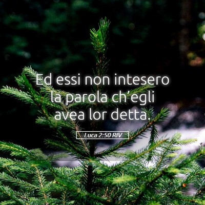 Picture 05 - Luca 2:50 RIV - Ed essi non intesero la parola ch’egli avea lor - Bible Verse Picture