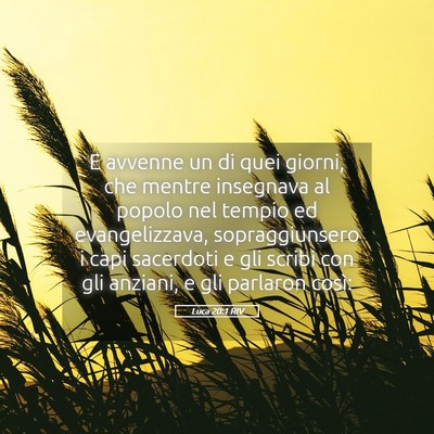 Picture 05 - Luca 20:1 RIV - E avvenne un di quei giorni, che mentre insegnava - Bible Verse Picture