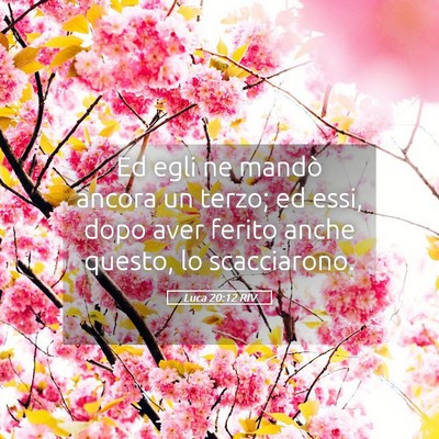 Picture 05 - Luca 20:12 RIV - Ed egli ne mandò ancora un terzo; ed essi, dopo - Bible Verse Picture