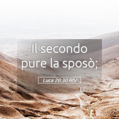 Picture 05 - Luca 20:30 RIV - Il secondo pure la - Bible Verse Picture