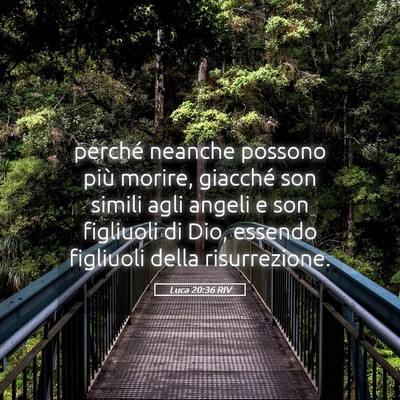 Picture 05 - Luca 20:36 RIV - perché neanche possono più morire, giacché son - Bible Verse Picture