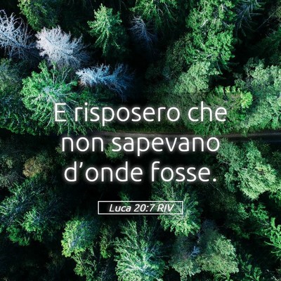 Picture 05 - Luca 20:7 RIV - E risposero che non sapevano d’onde - Bible Verse Picture
