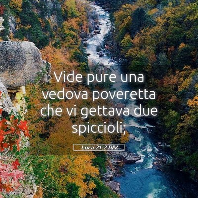 Picture 05 - Luca 21:2 RIV - Vide pure una vedova poveretta che vi gettava due - Bible Verse Picture
