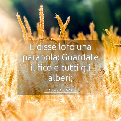 Picture 05 - Luca 21:29 RIV - E disse loro una parabola: Guardate il fico e - Bible Verse Picture