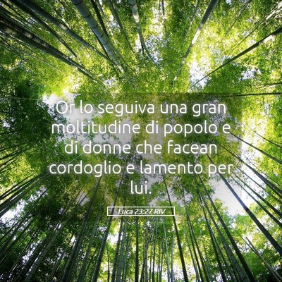 Picture 05 - Luca 23:27 RIV - Or lo seguiva una gran moltitudine di popolo e di - Bible Verse Picture