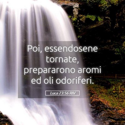 Picture 05 - Luca 23:56 RIV - Poi, essendosene tornate, prepararono aromi ed - Bible Verse Picture
