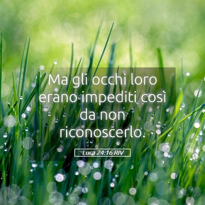 Picture 05 - Luca 24:16 RIV - Ma gli occhi loro erano impediti così da non - Bible Verse Picture