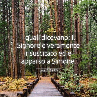 Picture 05 - Luca 24:34 RIV - i quali dicevano: Il Signore è veramente - Bible Verse Picture