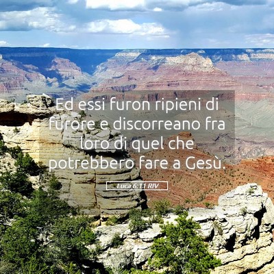 Picture 05 - Luca 6:11 RIV - Ed essi furon ripieni di furore e discorreano fra - Bible Verse Picture