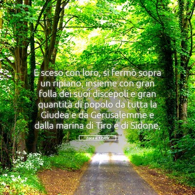 Picture 05 - Luca 6:17 RIV - E sceso con loro, si fermò sopra un ripiano, - Bible Verse Picture
