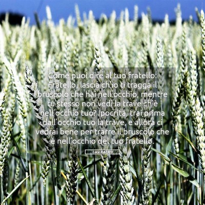 Picture 05 - Luca 6:42 RIV - Come puoi dire al tuo fratello: Fratello, lascia - Bible Verse Picture