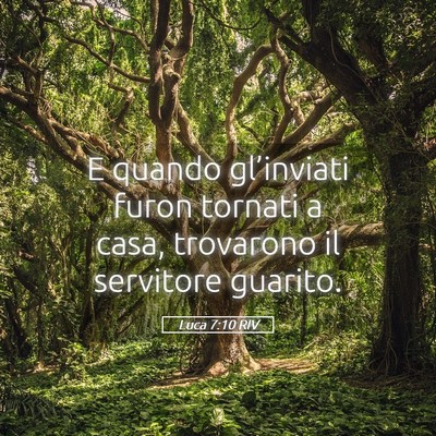 Picture 05 - Luca 7:10 RIV - E quando gl’inviati furon tornati a casa, - Bible Verse Picture