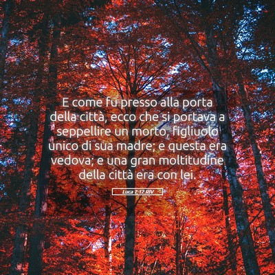 Picture 05 - Luca 7:12 RIV - E come fu presso alla porta della città, ecco - Bible Verse Picture