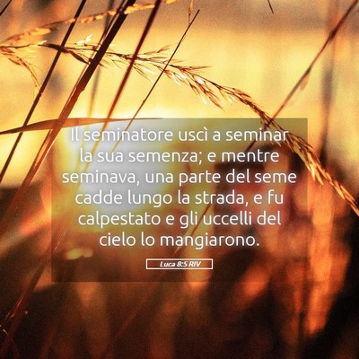 Picture 05 - Luca 8:5 RIV - Il seminatore uscì a seminar la sua semenza; e - Bible Verse Picture