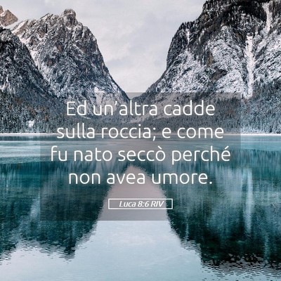 Picture 05 - Luca 8:6 RIV - Ed un’altra cadde sulla roccia; e come fu nato - Bible Verse Picture