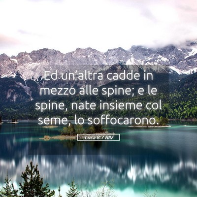 Picture 05 - Luca 8:7 RIV - Ed un’altra cadde in mezzo alle spine; e le - Bible Verse Picture
