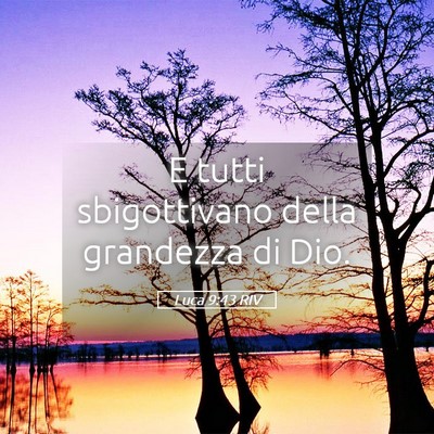 Picture 05 - Luca 9:43 RIV - E tutti sbigottivano della grandezza di - Bible Verse Picture