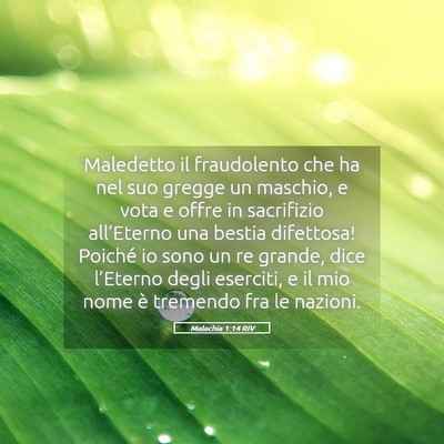 Picture 05 - Malachia 1:14 RIV - Maledetto il fraudolento che ha nel suo gregge un - Bible Verse Picture