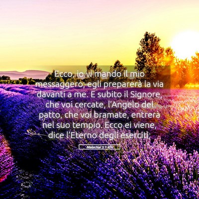 Picture 05 - Malachia 3:1 RIV - Ecco, io vi mando il mio messaggero; egli - Bible Verse Picture