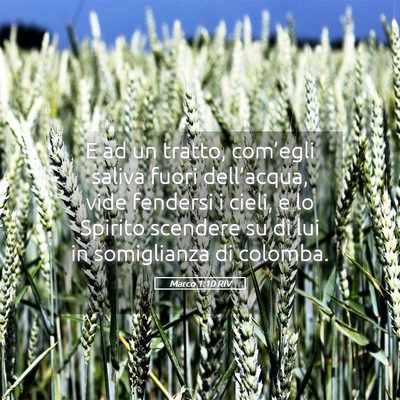 Picture 05 - Marco 1:10 RIV - E ad un tratto, com’egli saliva fuori - Bible Verse Picture