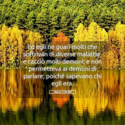 Picture 05 - Marco 1:34 RIV - Ed egli ne guarì molti che soffrivan di diverse - Bible Verse Picture
