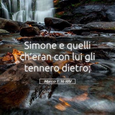 Picture 05 - Marco 1:36 RIV - Simone e quelli ch’eran con lui gli tennero - Bible Verse Picture