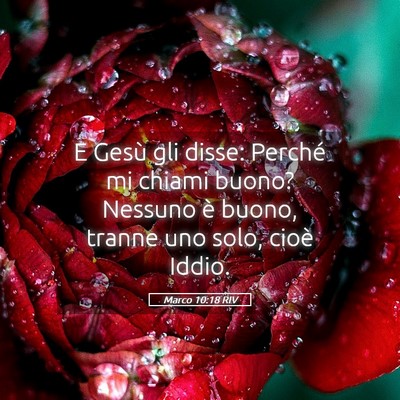 Picture 05 - Marco 10:18 RIV - E Gesù gli disse: Perché mi chiami buono? - Bible Verse Picture