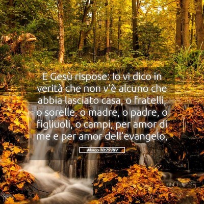 Picture 05 - Marco 10:29 RIV - E Gesù rispose: Io vi dico in verità che non - Bible Verse Picture