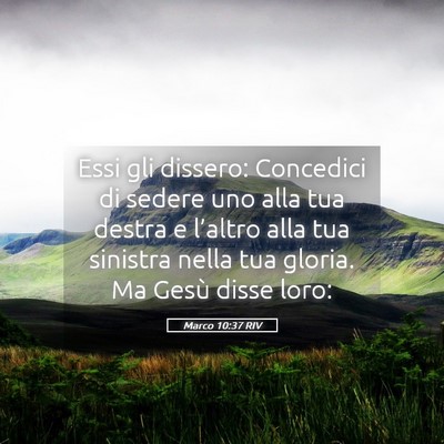 Picture 05 - Marco 10:37 RIV - Essi gli dissero: Concedici di sedere uno alla - Bible Verse Picture
