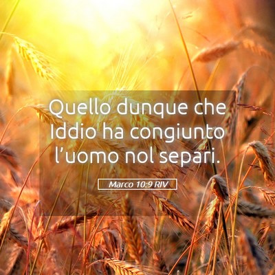 Picture 05 - Marco 10:9 RIV - Quello dunque che Iddio ha congiunto l’uomo nol - Bible Verse Picture