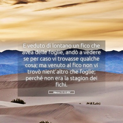 Picture 05 - Marco 11:13 RIV - E veduto di lontano un fico che avea delle - Bible Verse Picture