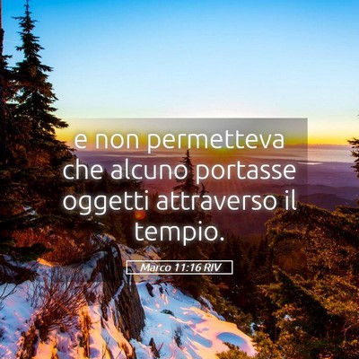 Picture 05 - Marco 11:16 RIV - e non permetteva che alcuno portasse oggetti - Bible Verse Picture