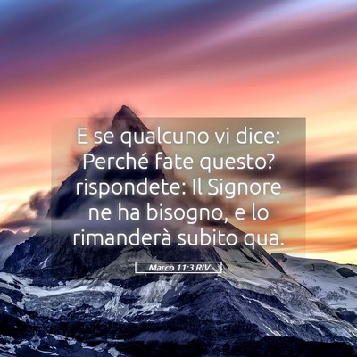 Picture 05 - Marco 11:3 RIV - E se qualcuno vi dice: Perché fate questo? - Bible Verse Picture
