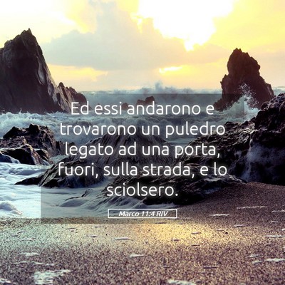 Picture 05 - Marco 11:4 RIV - Ed essi andarono e trovarono un puledro legato ad - Bible Verse Picture