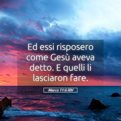 Picture 05 - Marco 11:6 RIV - Ed essi risposero come Gesù aveva detto. E - Bible Verse Picture