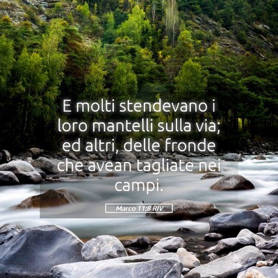 Picture 05 - Marco 11:8 RIV - E molti stendevano i loro mantelli sulla via; ed - Bible Verse Picture