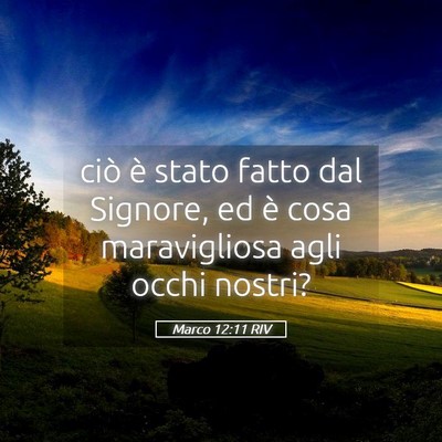 Picture 05 - Marco 12:11 RIV - ciò è stato fatto dal Signore, ed è cosa - Bible Verse Picture