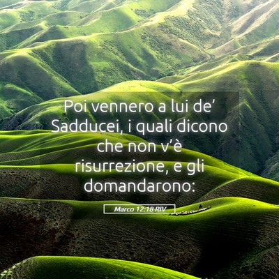 Picture 05 - Marco 12:18 RIV - Poi vennero a lui de’ Sadducei, i quali dicono - Bible Verse Picture