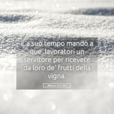 Picture 05 - Marco 12:2 RIV - E a suo tempo mandò a que’ lavoratori un - Bible Verse Picture