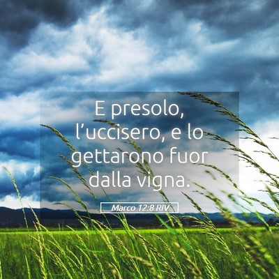 Picture 05 - Marco 12:8 RIV - E presolo, l’uccisero, e lo gettarono fuor - Bible Verse Picture