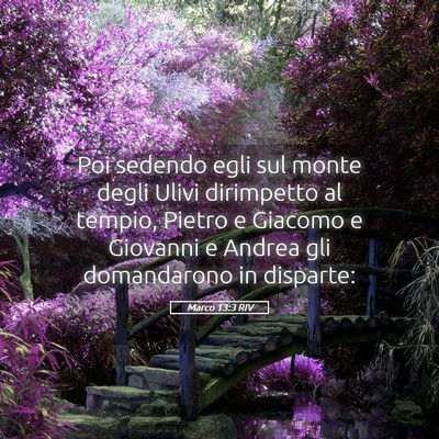 Picture 05 - Marco 13:3 RIV - Poi sedendo egli sul monte degli Ulivi dirimpetto - Bible Verse Picture