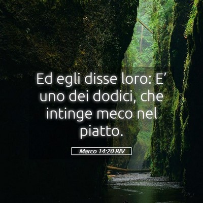 Picture 05 - Marco 14:20 RIV - Ed egli disse loro: E’ uno dei dodici, che - Bible Verse Picture
